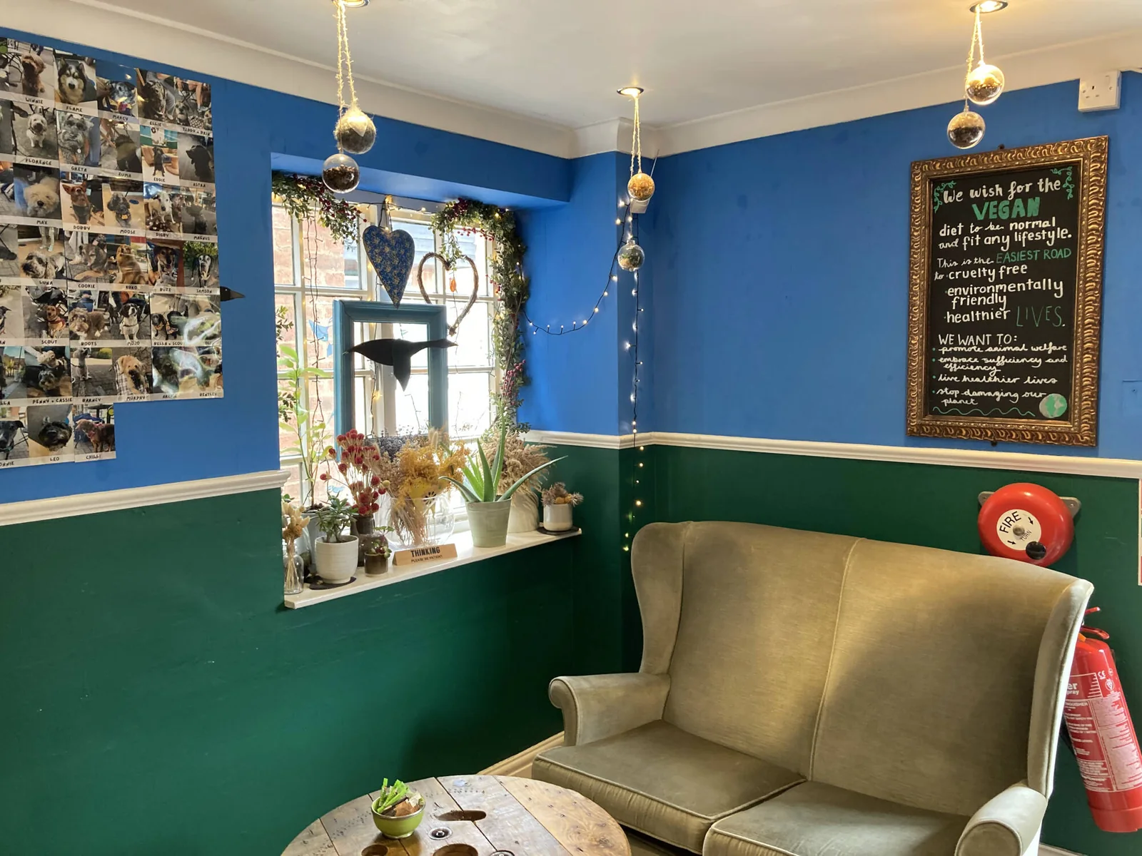 Colourful blue and green seating area inside Plantarium Café